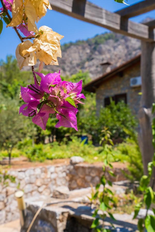 Sakin Vadi Villas Marmaris Exterior photo